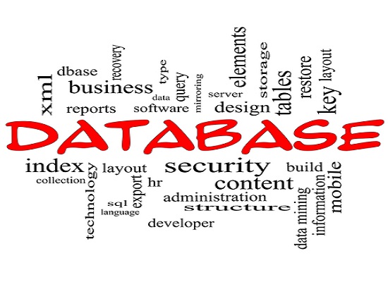 Oracle Consulting Services