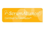 Team certification